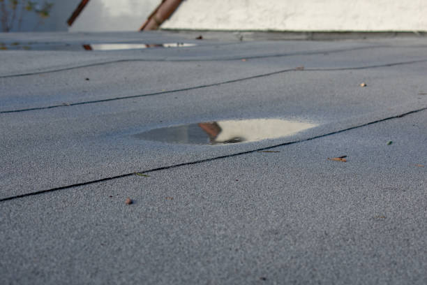 Plat bitumen dak met een plas water op de dakbedekking.