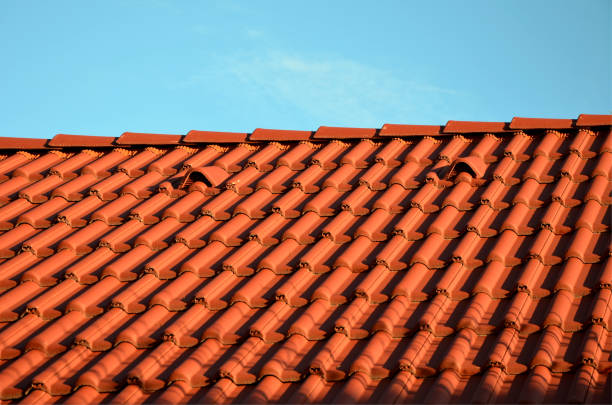 Rood pannendak met nokvorsten tegen een blauwe lucht.